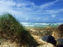 Palm Beach